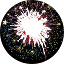PF 2013